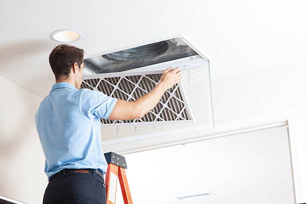 Best Air Quality Test  in Lochearn, MD